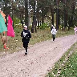 Осенний кросс (6)