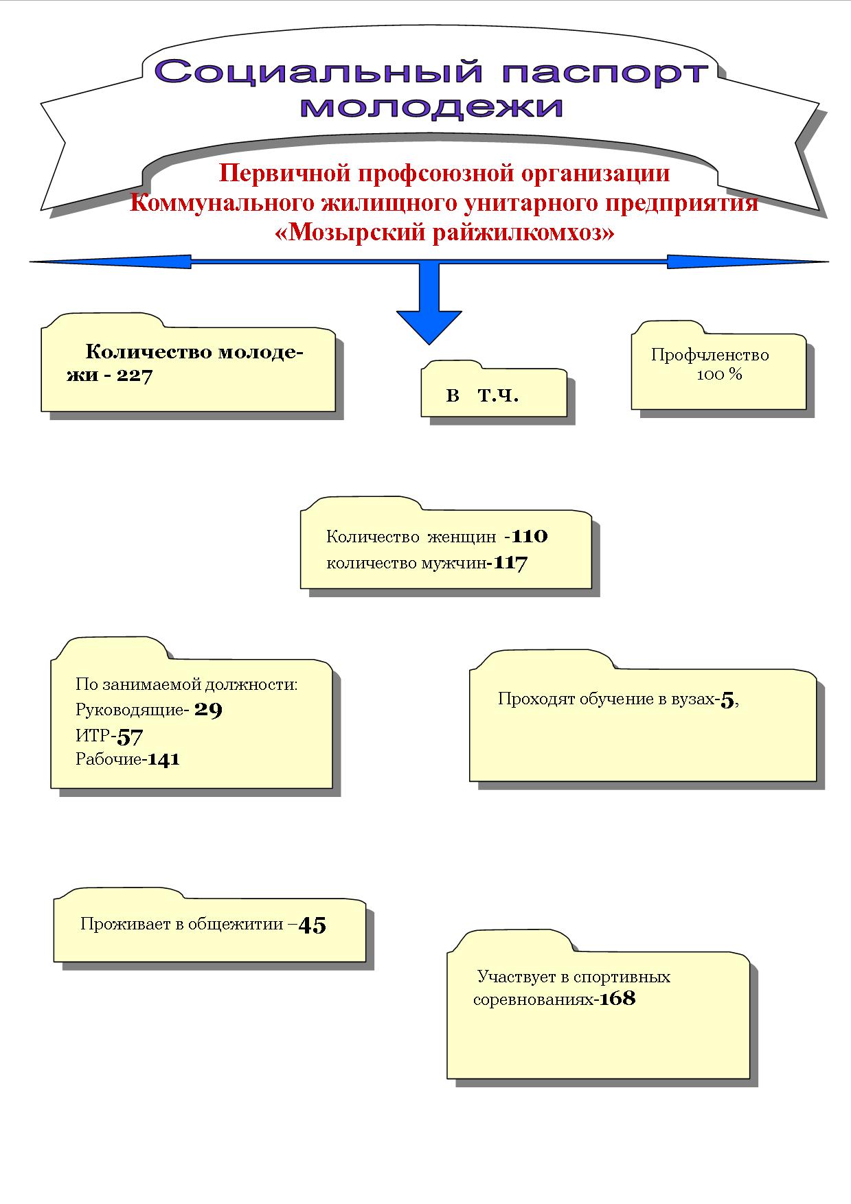 соц паспорт молод